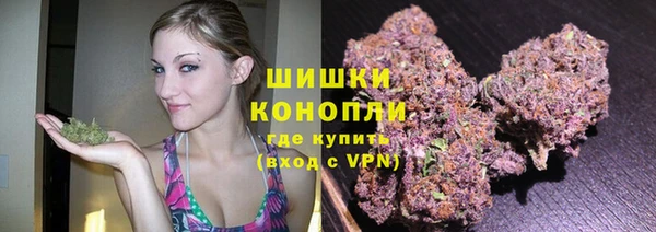 прущие грибы Алексин