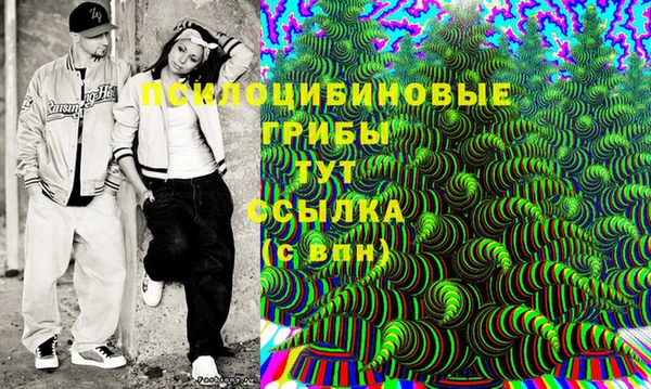 прущие грибы Алексин
